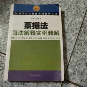 票据法司法解释实例释解   正版内页没有笔记