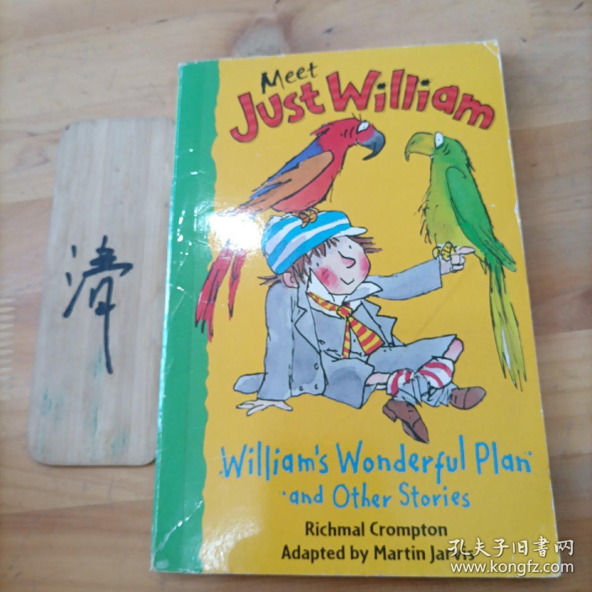 William’s Wonderful Plan and Other Stories （S） 威廉的完美计划
