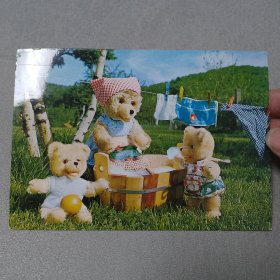 泰迪熊明信片实寄片