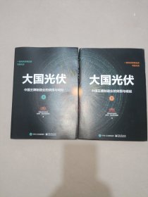 大国光伏：中国王牌制造业的突围与崛起（上、下册）作者鉴名册