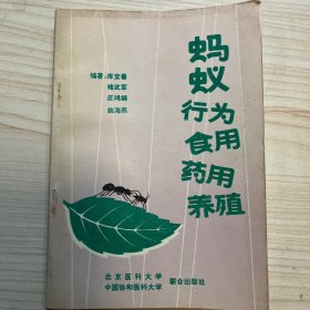 蚂蚁行为食用药用养殖