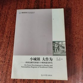 小城镇·大作为：西南边疆民族地区小城镇建设研究