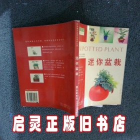迷你盆栽 王凤兰 贵州科学技术出版社