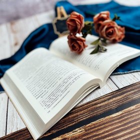 二十世纪初中国白话文学研究及当代意义