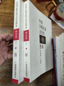 中国少数民族文化史图典 · 西北卷（上下）