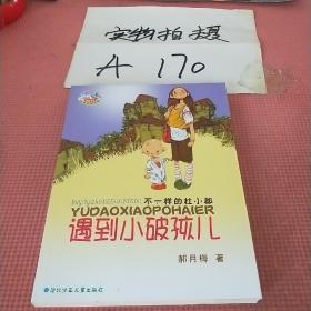 郝月梅幽默儿童小说系列：不一样的杜小都 遇到小破孩