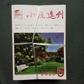 小说选刊2020年（1-12期 缺第10期）11本合售