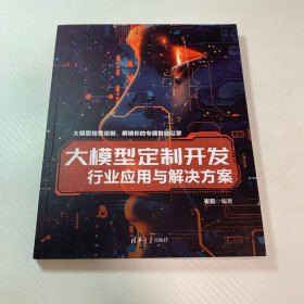 大模型定制开发--行业应用与解决方案