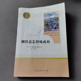 统编语文教材配套阅读 八年级下：钢铁是怎样炼成的/名著阅读课程化丛书