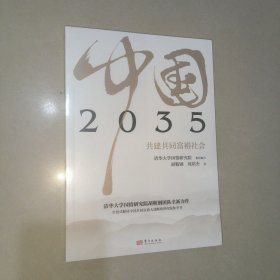 2035中国 共建共同富裕社会