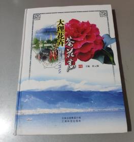 大理花卉·茶花篇