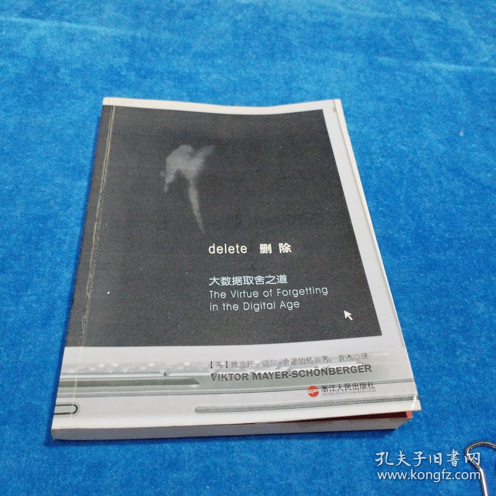 删除：大数据取舍之道