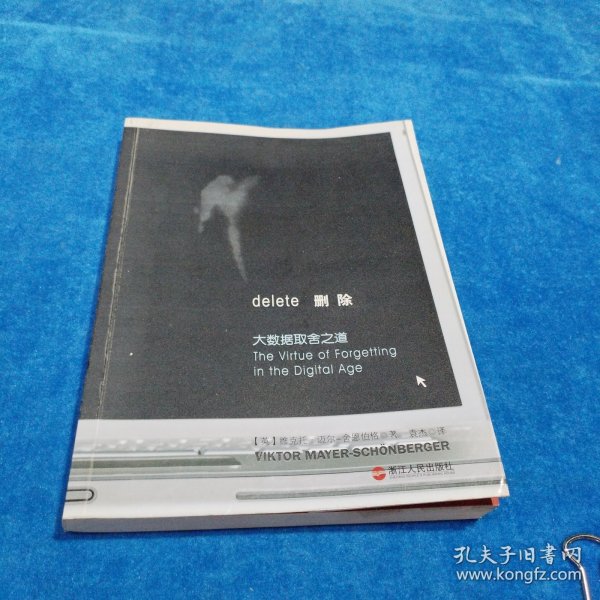 删除：大数据取舍之道