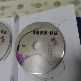 中国戏曲瑰宝（十集电视艺术片 蒲剧表演·特技）2DVD+解说词