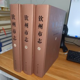 钦州市志上中下册