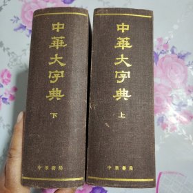 中华大字典 上下 自然旧