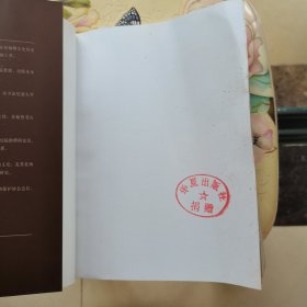 安第斯之谜：寻找黄金国