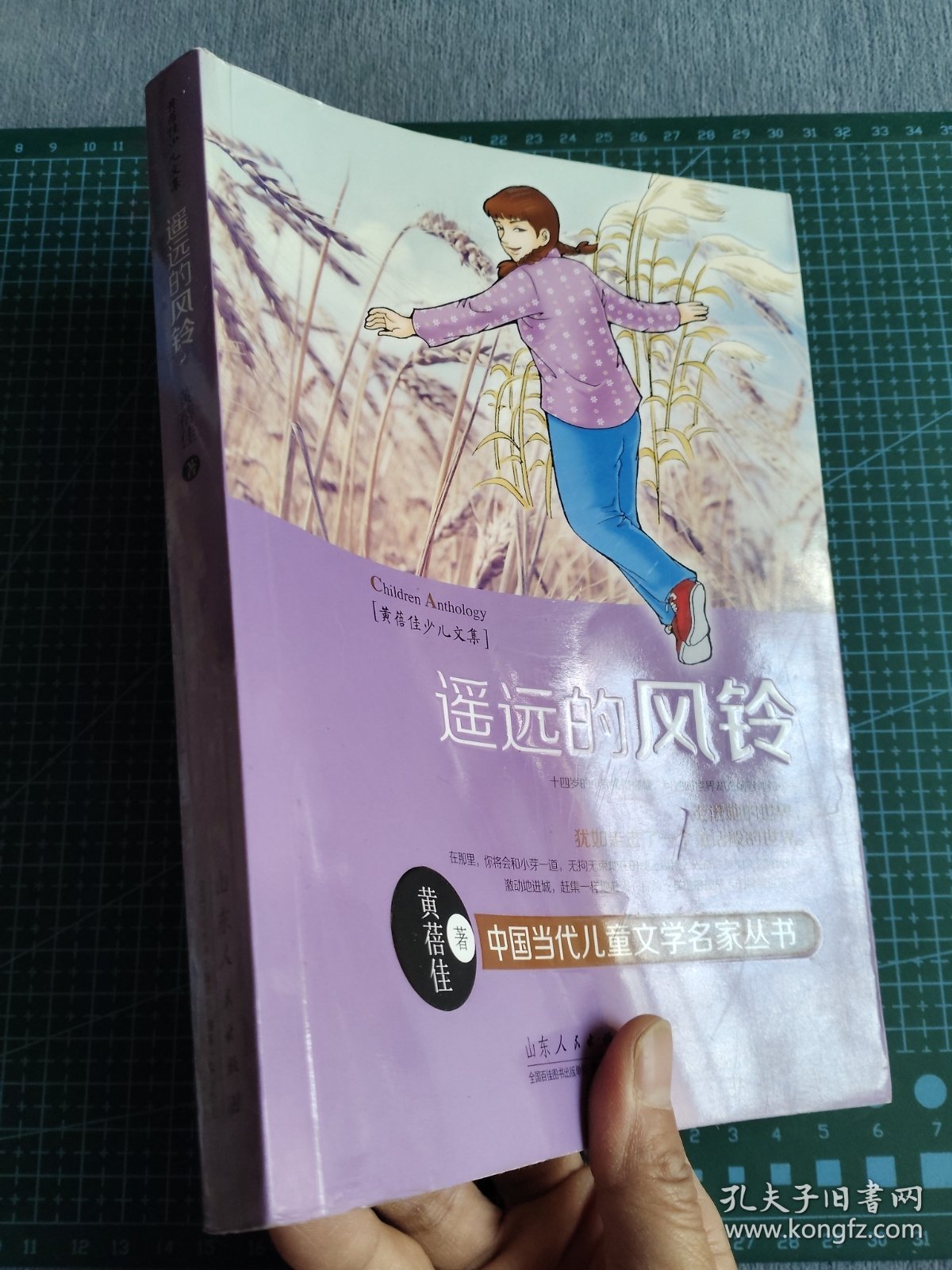 黄蓓佳少儿文集：遥远的风铃