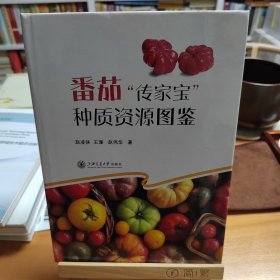 番茄“传家宝”种质资源图鉴