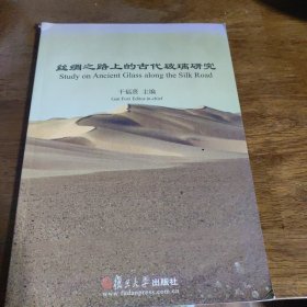 丝绸之路上的古代玻璃研究：2004年乌鲁木齐中国北方古玻璃研讨会和2005年上海国际玻璃考古研讨会论文集