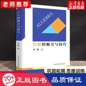 代数的魅力与技巧