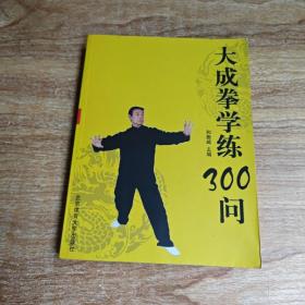 大成拳学练300问