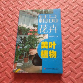 精品花卉——美葉植物