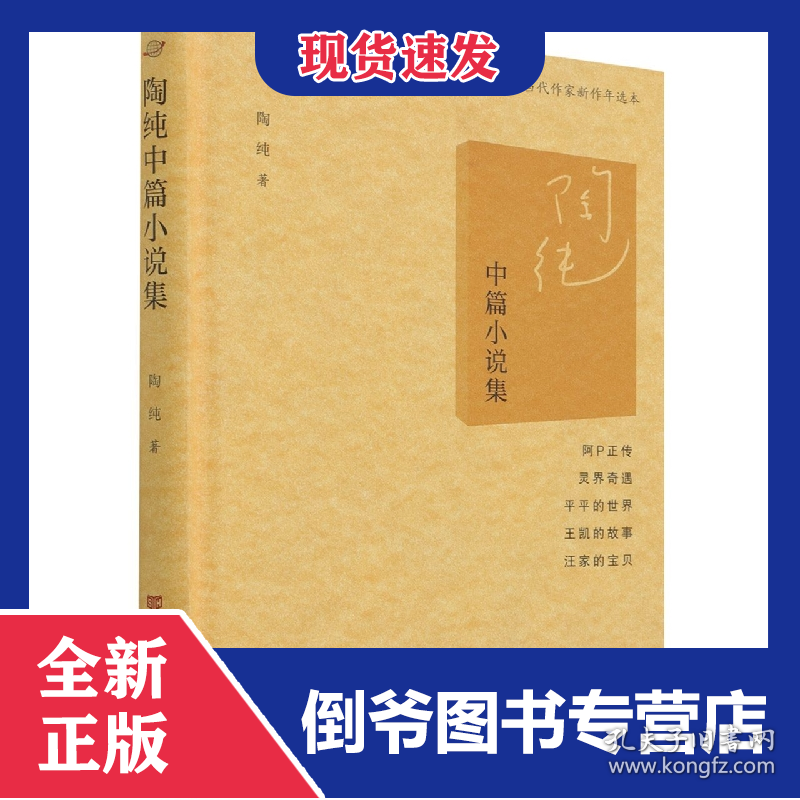 陶纯中篇小说集