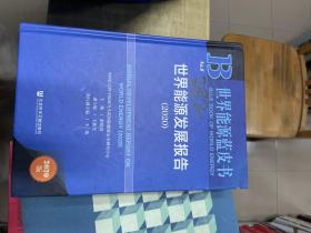 世界能源发展报告    2020    社会科学文献出版社      精装本     封面有黑体字迹   382  正文完好  无字迹 3L31上