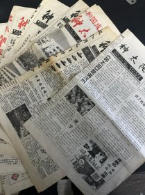 种太阳 新昌城西小学校报14张合售