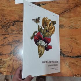 梅里安手绘昆虫高清大图：装裱册页与临摹范本/博物文库·博物画临摹与创作