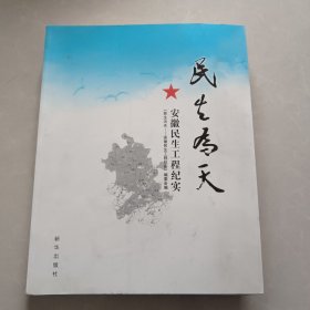 民生为天:安徽民生工程纪实