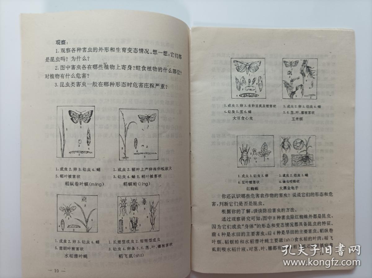 自然教科书 小学四年级 沈阳市小学补充教材 1995年90年代 教材