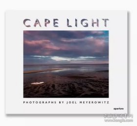 乔尔·梅耶罗维茨：科德角之光 Joel Meyerowitz: Cape Light