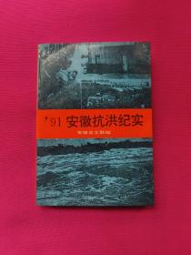 91安徽抗洪纪实