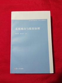 未来城市与数智治理