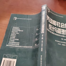劳动和社会保障规划统计与管理信息系统（第二版）