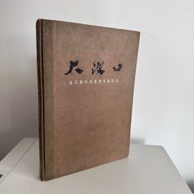 大汶口：新石器时代墓葬发掘报告 大16开硬壳精装 文物出版社 1974年一版一印 品相好