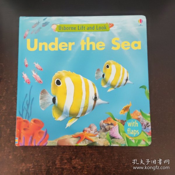 Under the Sea