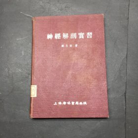 神经解剖实习