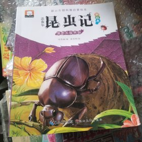 法布尔昆虫记（彩绘本）·清道夫屎壳郎