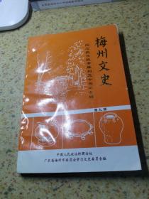 梅州文史----纪念抗日战争胜利五十周年（第九辑）