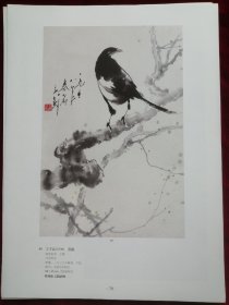 名家画喜鹊26页，散页合售。（何涵宇，孙其峰，谢稚柳，徐悲鸿，吕世荣，王子武，王雪涛，李苦禅，王少卿，柳滨，王子武，井建国，邓白，喻继高，武玉玲）