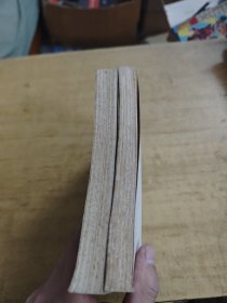 契河夫小说选 上下