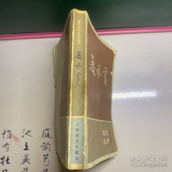 暴风雪：译文丛刊（第一辑）