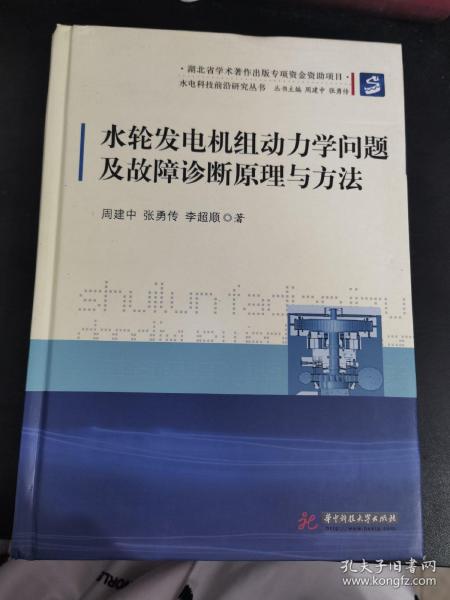 水电科技前沿研究丛书：水轮发电机组动力学问题及故障诊断原理与方法