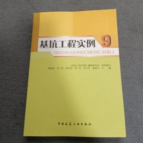 基坑工程实例9