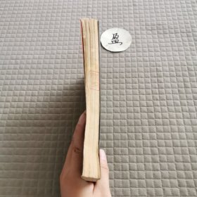 海湾雄狮 斯瓦兹科普夫