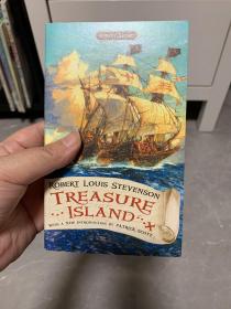 Treasure Island 金银岛 英文原版