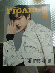 FIGARO世界〈封面刘宇）